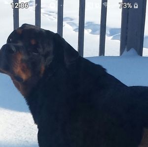 Meet your Posher, Catrini